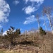 ... und Rückblick 1