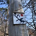 [https://www.hikr.org/user/Makubu/gallery/tags/Seltsame_grafik/ Seltsame Grafik] ob der Tannenflue.


