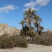 Die künstliche "Oase" (Lawrence von Arabien) im Rambla de Tabernas. Links ein toller Aussichtspunkt (nächstes Bild).