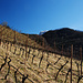 Gute Weinlage