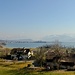 Le lac de Zurich au-dessus de Feldbach, avec Rapperswil au second plan