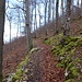 malerische Weganlage ...