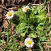 der Frühling kündigt sich an