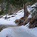 Die Alpstrasse war meistens schneebedeckt, aber es gab auch kurze apere Stellen. Es war auch stellenweise ziemlich eisig.