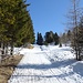 Anfangs geht es sanft ansteigend auf diesem sonnigen Weg...