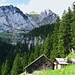 Alphütte auf 1304m (Vorder Bannwald)