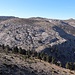 Zwischen den Bäumen geht es hinunter in das Tal Cañada Froncaire, dann unter der Felskante entlang und den Graben rechts im Bild hinauf, so die Theorie.
