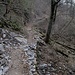 Salendo dai Monti di Capovico verso Brunate