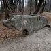 Montepiatto : Sasso dell'Orso