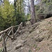 salita verso il Dosso di Lavedo