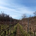 ...und von dieser aus ins Berntal hineinwandern.