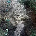 Der Schlittgraben. Das Berntal wurde zum künstlichen Trockental, dessen Niederschlagswasser seit den 1980er Jahren in die Kanalisation der Landesstraße 517 Richtung Bad Dürkheim abgepumpt wird.