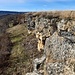 ...und bietet dadurch einen guten Einblick auf das Karstgestein.