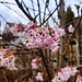Der Frühling kündigt sich an!