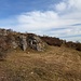 Wer sich immer rechts hält, ohne ins Berntal abzusteigen, erreicht bald die Kante des Felsenbergs.