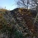 Man wandert hier auf alten Weinbergtreppchen.