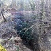 Man muss wirklich aufpassen, nicht nur auf die Dornen, denn rechts geht es stets 10, 20 Meter senkrecht hinunter, und links ist es zumindest ordentlich steil.<br />