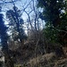 Ein paar Meter westlich des Weinguts überquerte ich die K3. Hier setzt der Bergrücken an, der mir als "Bad Dürkheimer Grat" verkauft wurde. Na, mal sehen. Mit einer gehörigen Portion Skepsis verließ ich den Weinbergweg nur wenige Meter nach der K3, und stieg rechts hinauf zu einem Hochsitz am Bergrücken. 