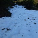 Unterhalb der Thorauschneid liegen im Schatten noch gefrorene Schneereste vom ersten Wintereinbruch. Mit Wanderstöcken war das heute kein Problem.