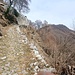 Il sentiero si ricongiunge con la "Luganiga", come viene chiamata dai locals la mula che sale da Monti di Lemno