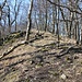 Malý Ostrý (Kleine Wostray/Wostrei/Wostrai), Gipfel