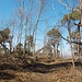 Auf dem höchsten Punkt der Klusberge ist der Wald leider ziemlich ruiniert. Und einen eindeutigen Namen scheint der Gipfel auch nicht zu haben: auf der opentopomap steht Amsberg / Weinberg...