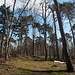 Der Kammweg in den Klusbergen