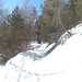 Die auf der Karte eingezeichnete Route verläuft weiter östlich, aber ich folge den Skispuren.