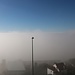 an der Nebelgrenze