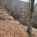 sentiero di rientro, dopo la chiesetta dell'alpone verso Pradecolo