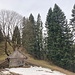 Stadel mit imposantem Baum wenige Meter nach der Grosshusegg