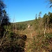 Wir zweigten hier vom markierten Weg ab, und folgten dem unmarkierten Pfad, der nach links ins Tal hinunter führt.