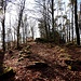 Auf dem Hochberg. Keine Aussicht hier, leider. Zwischen ein paar schönen Felsbrocken hindurch wanderten wir auf der Ostseite hinunter zu einer Wegkreuzung.