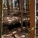 Wir entdecken eine kleine Höhle.