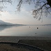 Le lac de Zurich à Lachen