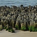 scharfe Felsen zwischen Sandstrand und Meer (bei der Fotoaufnahme herrschte gerade Ebbe)