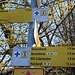 Zwischen dem Neumühlsee und Waldenburg ist der Wanderweg mit einem blauen Kreuz markiert