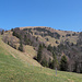Gipfel und Südwestflanke Buochserhorn