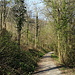 Schotterweg entlang des Ufers