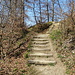im Naturschutzgebiet Bachlete