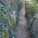 Wanderweg