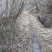 A Molino di Bollone l'antica strada che percorreva la valle, interrotta dall'invaso.