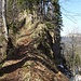 Imposante Nagelfluhzüge im Gebiet Schmalstein