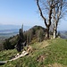 Blick hinunter zum Zürichsee