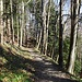 lauschiger Wegabschnitt ...