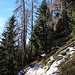 Im Wald gewinnt man an Höhe.