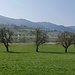 Hüttnersee I