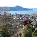 il lago maggiore