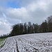 ... und mit winterlich anmutenden Gang hoch ...
