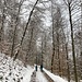 bei nach wie vor leichtestem Schneeflöckeln  am Vorberg hoch ...